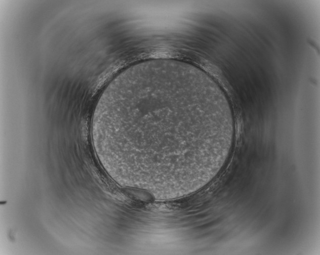 X0000099540297200806131156