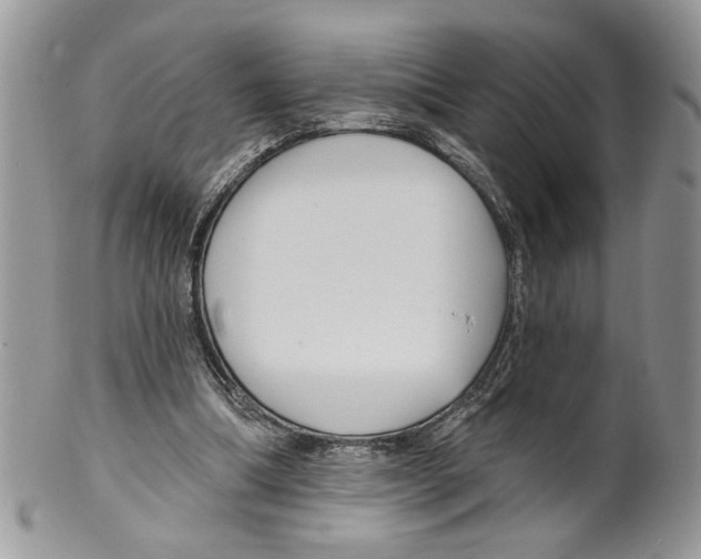 X0000099540298200806131156