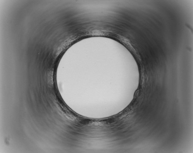 X0000099540299200806131156