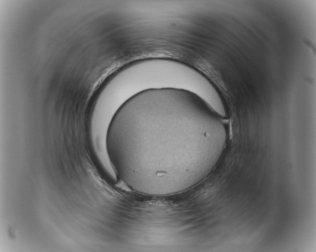 X0000099540300200806131156