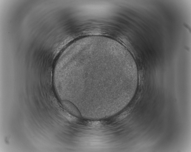 X0000099540301200806131156