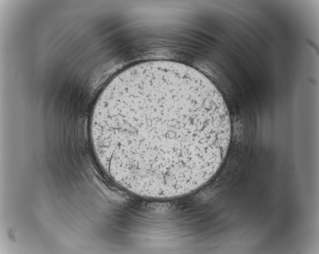 X0000099540302200806131156