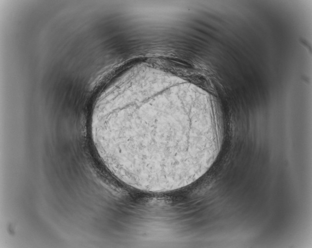 X0000099540303200806131156