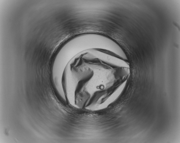 X0000099540304200806131156