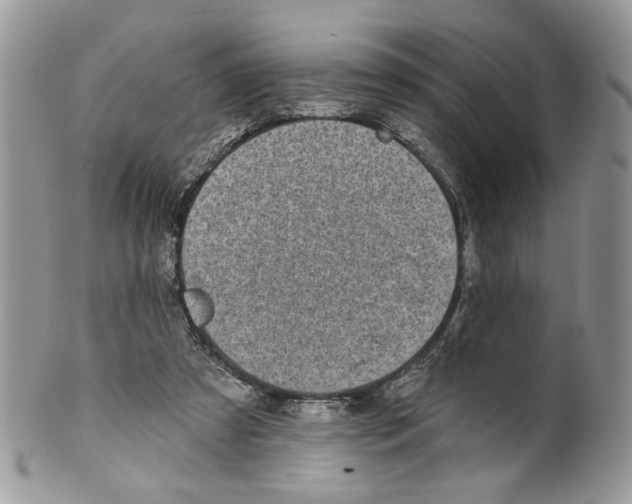 X0000099540305200806131156