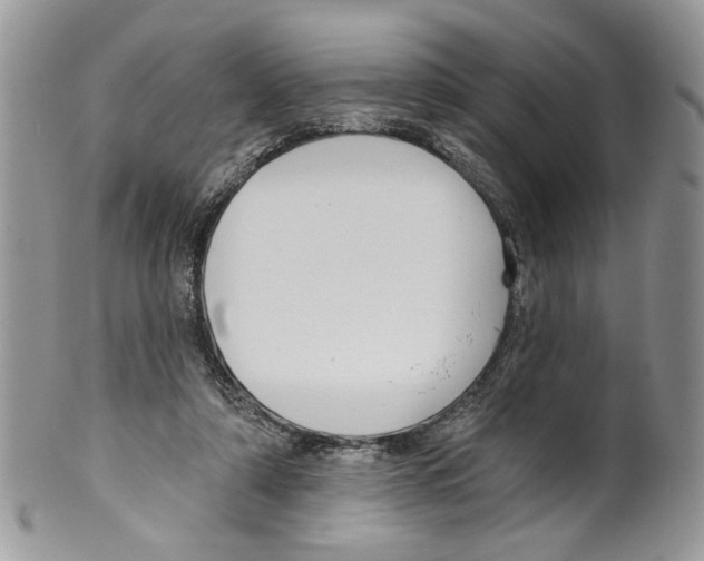 X0000099540306200806131155