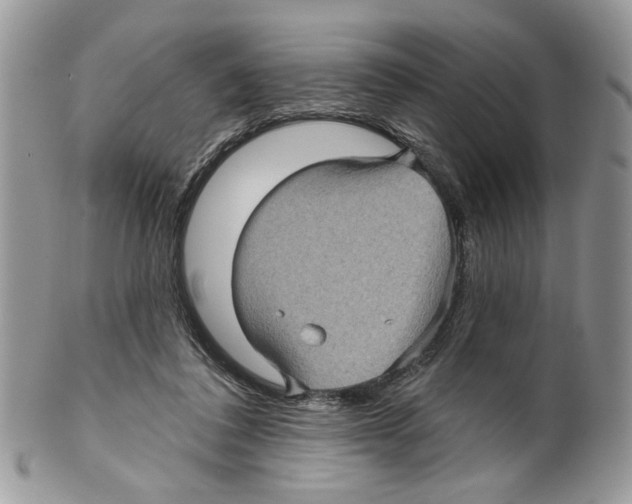 X0000099540308200806131155