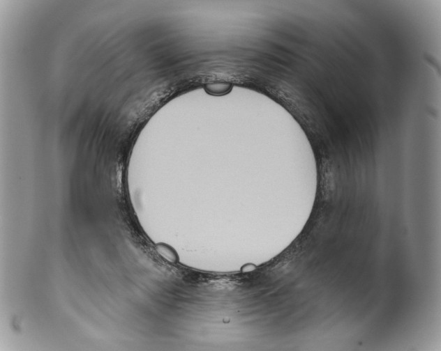 X0000099540310200806131155