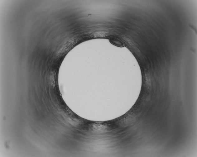 X0000099540311200806131155