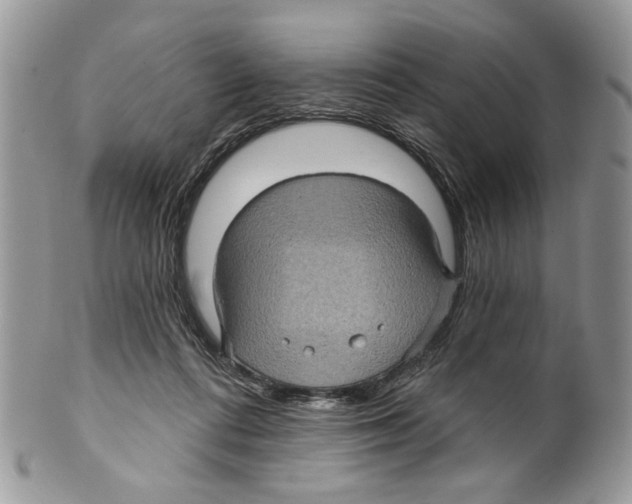 X0000099540312200806131155