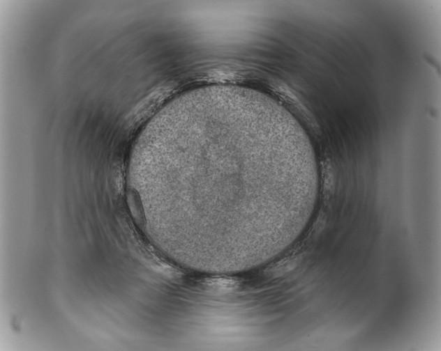 X0000099540313200806131155