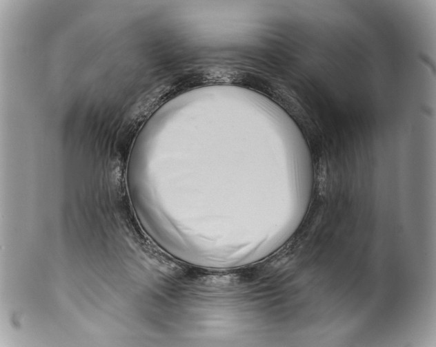 X0000099540314200806131155