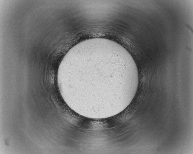 X0000099540315200806131155