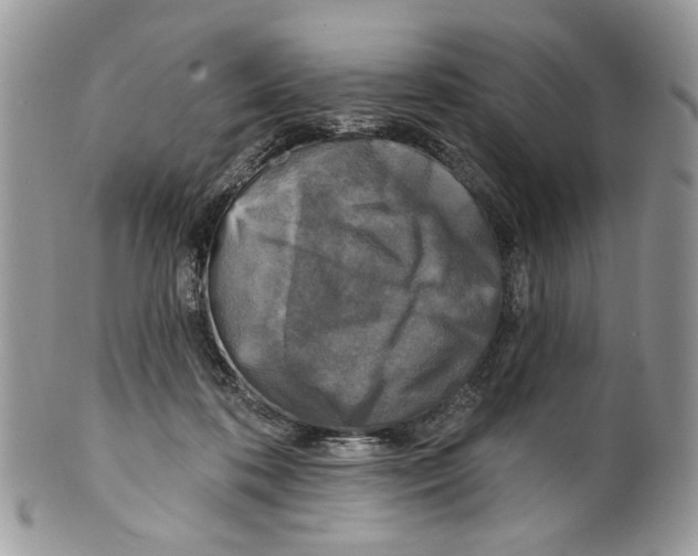 X0000099540316200806131155