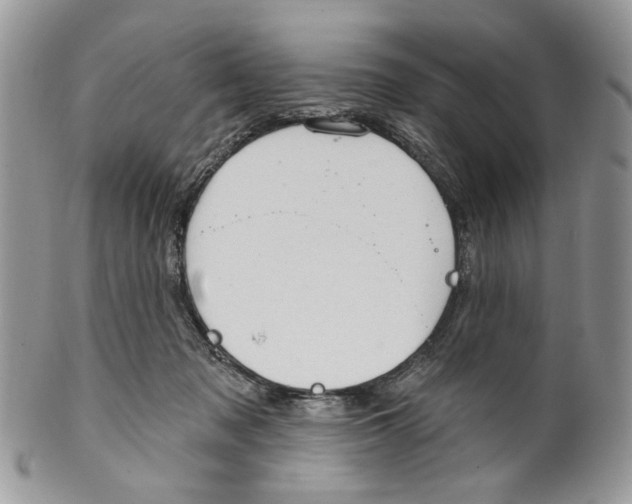 X0000099540317200806131155