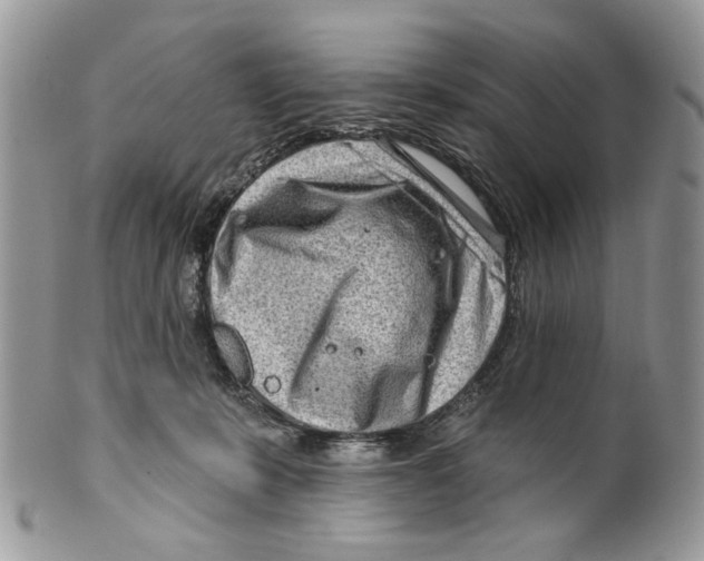 X0000099540319200806131155