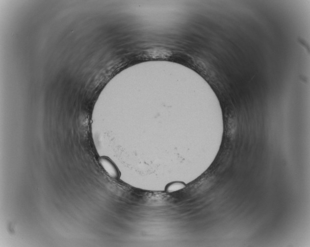 X0000099540321200806131155