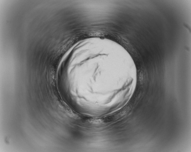 X0000099540322200806131155