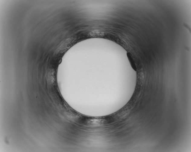 X0000099540323200806131155