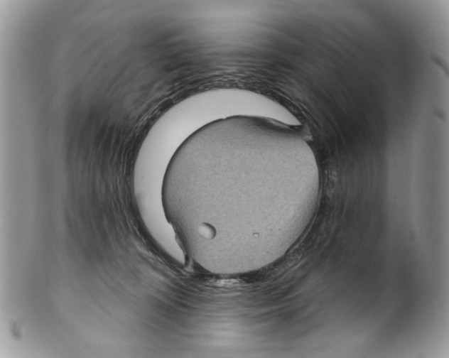 X0000099540324200806131155