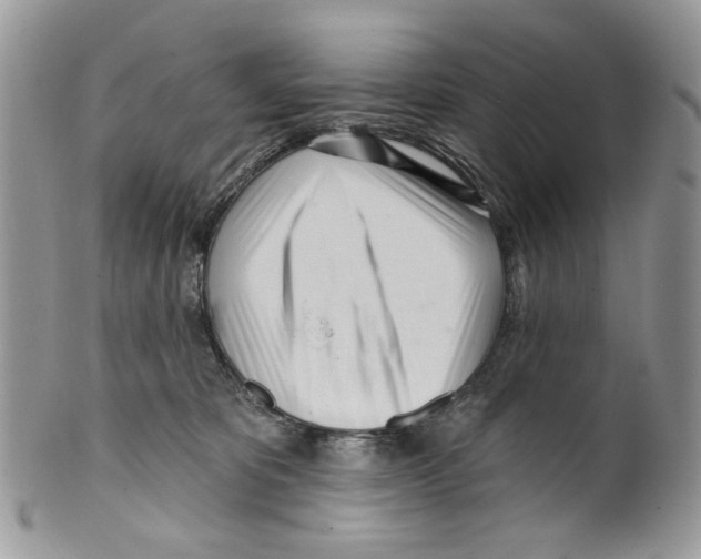 X0000099540325200806131155