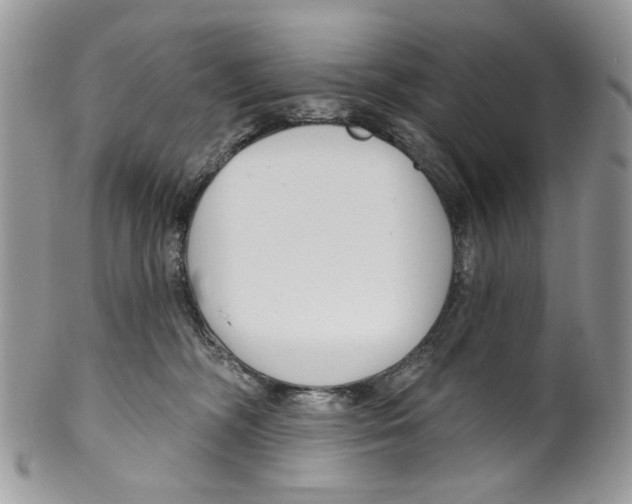 X0000099540326200806131155