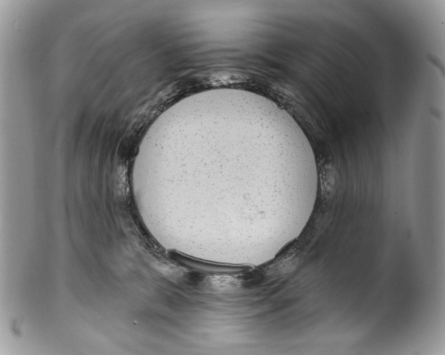 X0000099540327200806131155