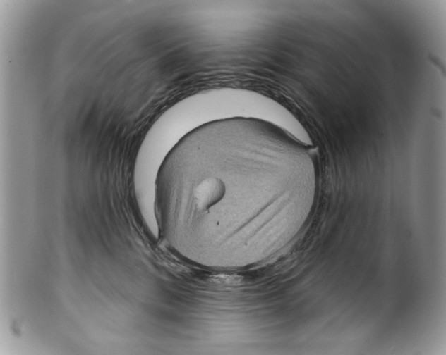 X0000099540328200806131155