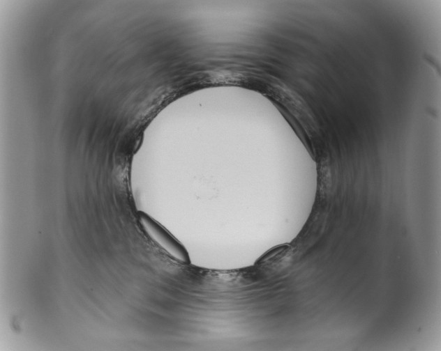 X0000099540329200806131155