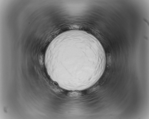 X0000099540331200806131155