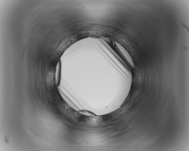 X0000099540333200806131155