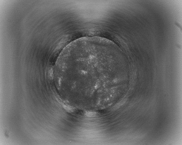 X0000099540336200806131155