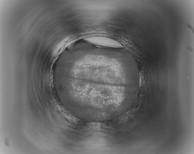 X0000099540339200806131154