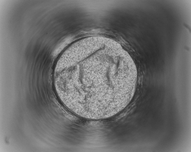 X0000099540341200806131154