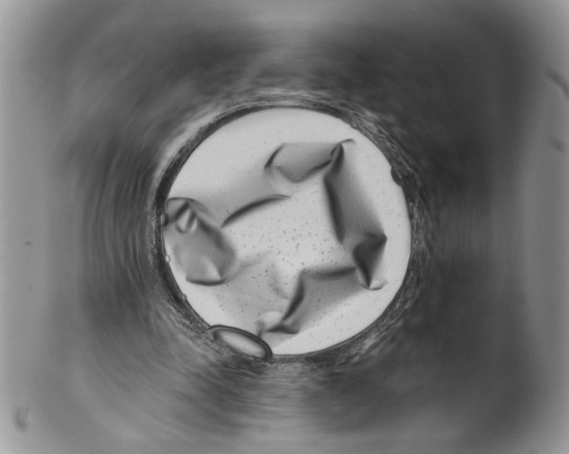 X0000099540342200806131154