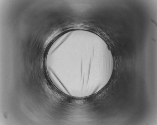 X0000099540344200806131154