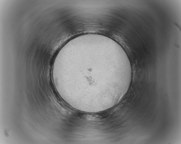 X0000099540346200806131154