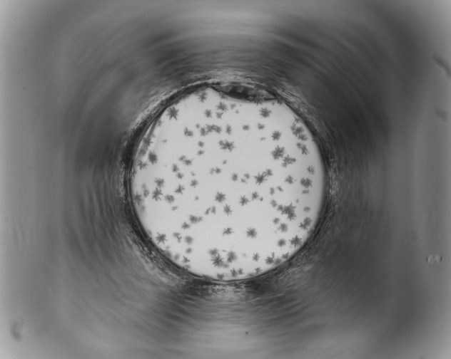 X0000099540347200806131154