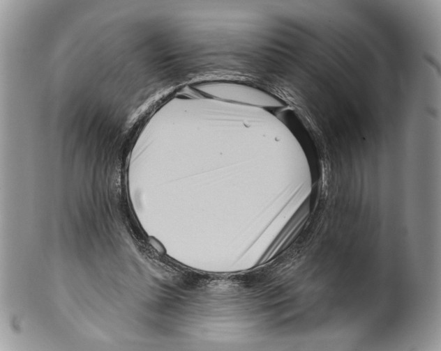 X0000099540348200806131154