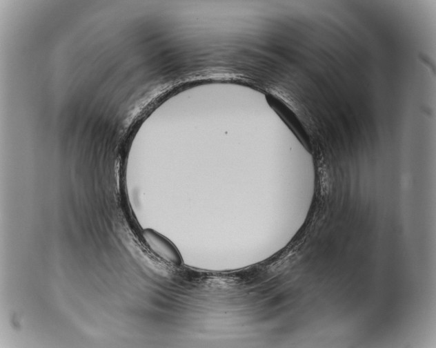 X0000099540350200806131154