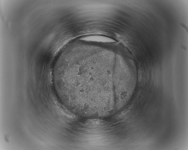 X0000099540351200806131154