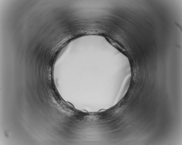 X0000099540356200806131154