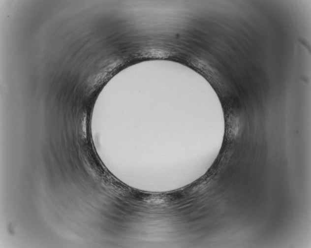 X0000099540358200806131154