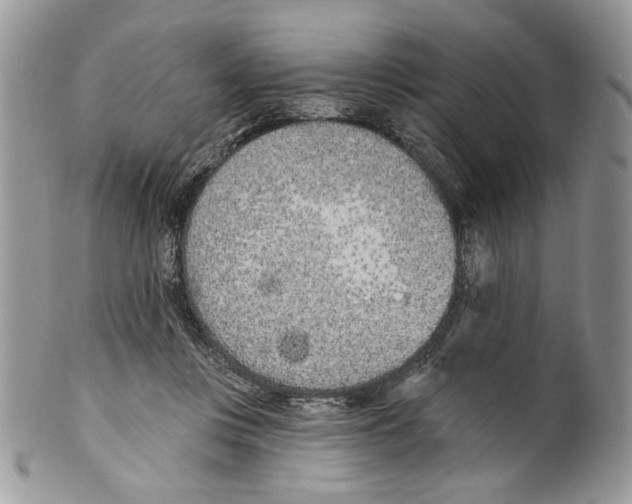 X0000099540359200806131154