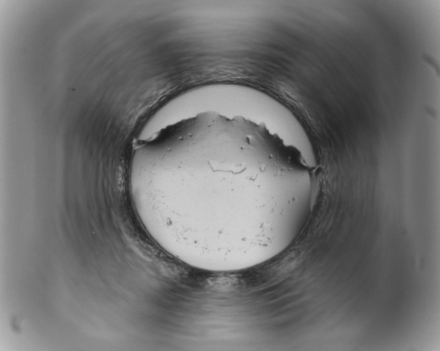 X0000099540362200806131155