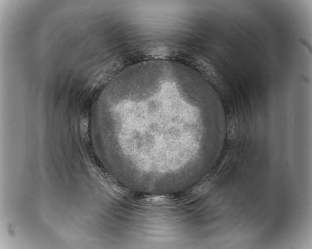 X0000099540365200806131155