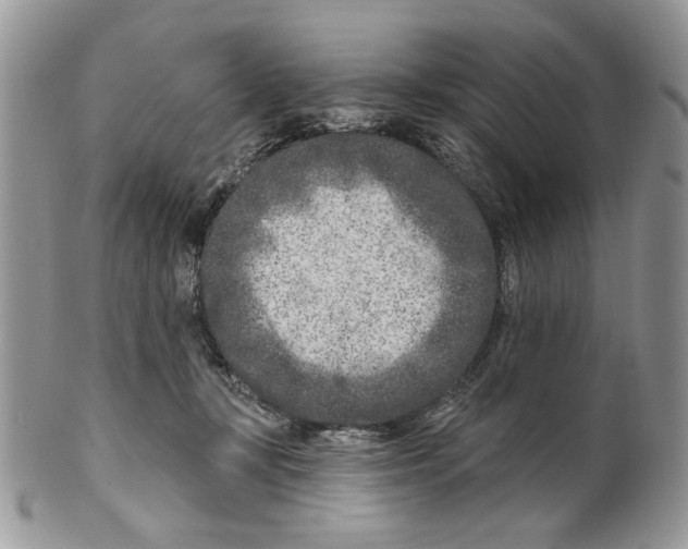 X0000099540367200806131155