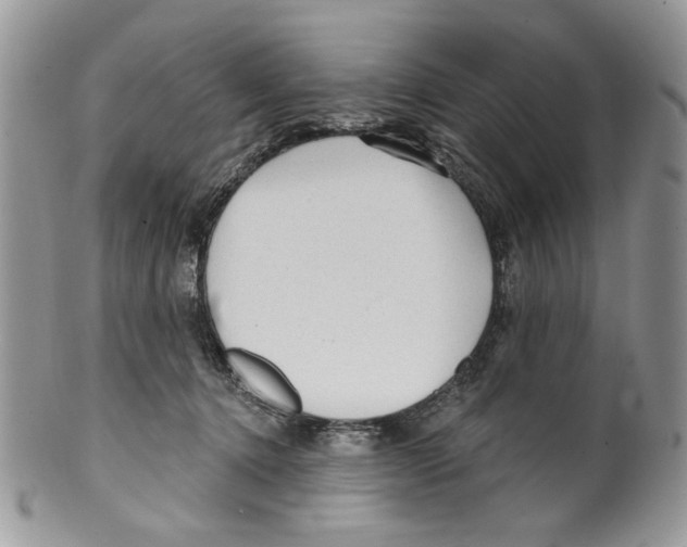 X0000099540368200806131155