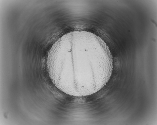 X0000099540369200806131155