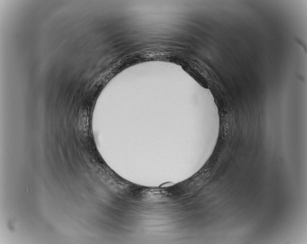 X0000099540372200806131155